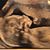 Jill Gosselin's profile image