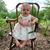 Jane Wilber's profile image