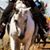 Angie Hins's profile image