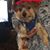 Carolyn Beets-Bell's profile image