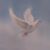 Nanci Leake's profile image