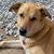 Mary Willis-Riddle's profile image
