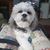Tracy Miller's profile image