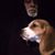 Tim Shoemaker's profile image