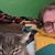 Hannah Millar Olson's profile image