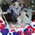 Bonnie Staab's profile image