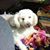 Kathy Boone's profile image