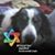 Jackie Klish's profile image