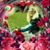 Wanda Schultz's profile image