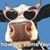 Paula Ramsey's profile image