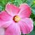 Jane Heister's profile image