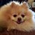 Pearl Suddreth's profile image