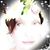 Gail Diane's profile image