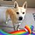 Kay Frederick's profile image