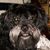Janis McIntyre's profile image
