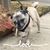 Monica Carletto's profile image