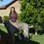 Cathy Dolan's profile image