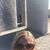 Stephanie Norton's profile image