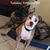 Christa Garoutte's profile image