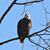 Kathy Jarvis Kimzey's profile image