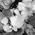 Amy Andrews's profile image