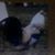 Leslie Young's profile image