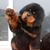 Sandy McGarr's profile image