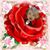 Tawanda Neal-Hammond's profile image