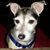 Christian Danford-Nicely's profile image