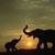 Linda Sturm's profile image