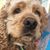 Dawn Taylor's profile image