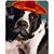 Charlene Sisson-Hoscheid's profile image
