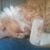 Terra Hultberg's profile image
