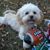 Darla Bennette Sprague's profile image