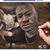 Matthew Davis's profile image