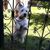 Karrol McNulty's profile image