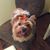 Michele Wandke's profile image