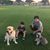 Jose Esquivel's profile image