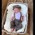 Carol Ettema Quimby's profile image