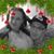 Larkins Keith's profile image