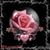 Jennifer Weaver's profile image