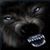 Chris Rogers's profile image