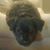Kevin Coleman's profile image