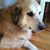 Jeannette Bateman Kahn's profile image