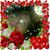 Debra Everett's profile image