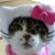 Patricia Sanzo's profile image