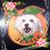 Melody Urso's profile image