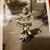 Debi DeClusin's profile image