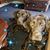 Cindy Pennoyer's profile image