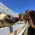 Laurie Lithgow Riley's profile image